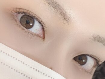 キャリコ(calico)/