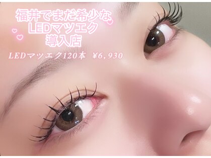 シエル(Ciel)の写真