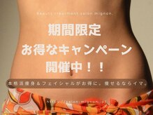 ビューティートリートメント ミニョン