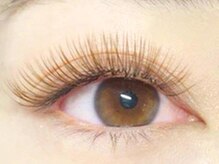 ブルズアイ 羽曳野店/