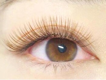 ブルズアイ 羽曳野店/