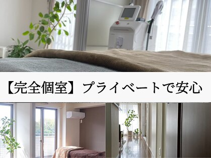 ティーツリー(Tea Tree)の写真