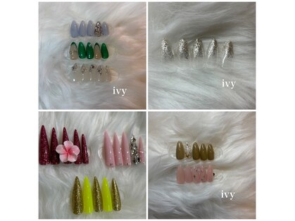 アイビー(ivy)の写真