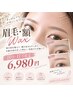【10.11月限定】眉額WAXコース￥6980