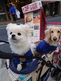 ポノ 南林間(PONO)&nbsp;休みの日は愛犬とお出かけすることが多いです。