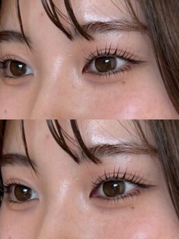 アージル(Argyll)/