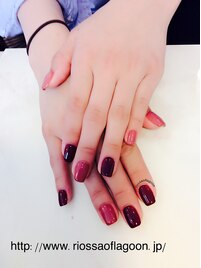 シェルコース　￥3900