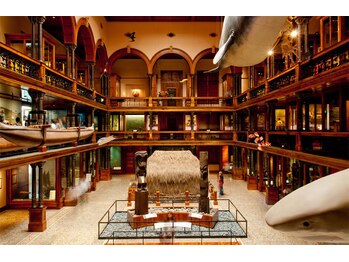 ハワイアンフォレストSpa 福岡天神店/ビショップ博物館