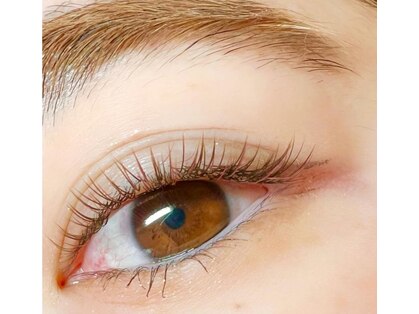 ルチア 志木店(Lucia)の写真