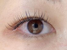 ビューティーモール 足利店/フラットラッシュtwice colors