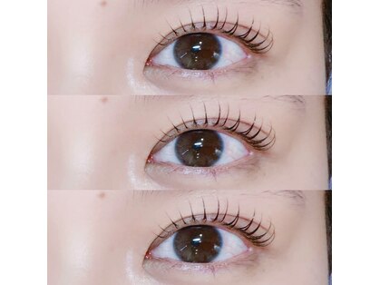 アンズラッシュ(An'z LASH)の写真