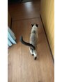 ジヒカ(ZIHICA) 猫が大好きです^ ^よく実家の猫に癒されに行ってます♪