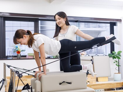 ボミ(BOMI)の写真