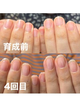 スティラ(Stila)/自爪育成/深爪育成/ジェルネイル