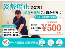 リーフ整骨院 武蔵新城店