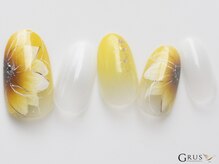 グルス(GRUS)/エアジェルアートコース