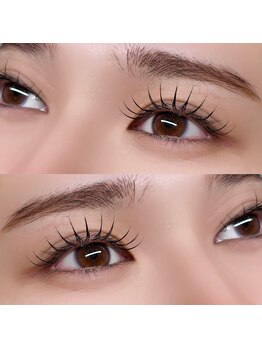 ヒルズ(Hills)/フラットラッシュ120本