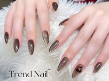 トレンドネイルスタジオ(Trend Nail Studio)/カラーマグネット 艶感抜群！