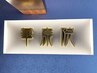 オイル30分+泡保湿洗浄30分+アカスリ30分＝11000円