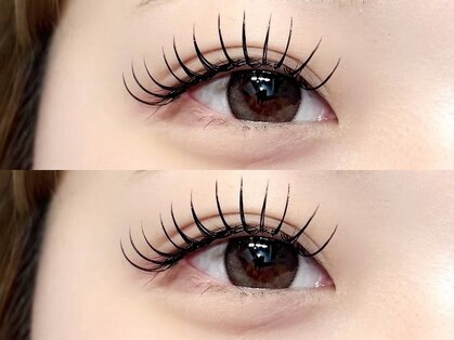 アイラッシュ スウェラ(Eyelash Swella)の写真