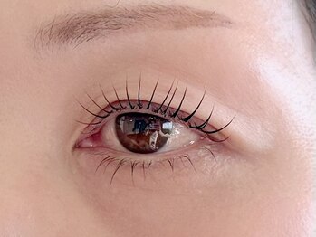 ダブル(W.)/ラッシュリフト上下