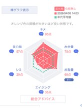 プリンセスフォー/グラフで肌バランスは一目瞭然！