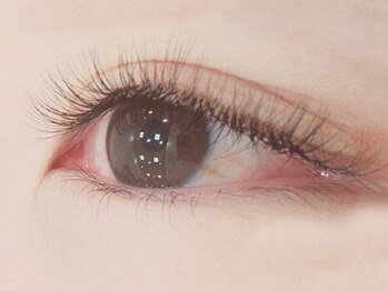 シェル 松戸(Shell)/フラットラッシュ