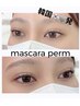 韓国発【マスカラパーマ】まつ毛パーマ＋ブラックティント¥5800