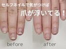 地爪育成コース