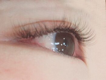 シェル 松戸(Shell)/フラットラッシュ