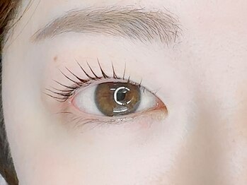 アイラッシュリリィ(Eyelash Lily)/立ち上げ