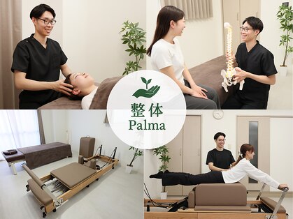 パルマ なかもず(Palma)の写真