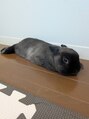 ドクターヘッド(DrHEAD)&nbsp;お客様にもこんな風にリラックスしていただけるように努めます