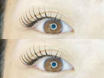 デフィ(De'fi)/Dカールエクステ!