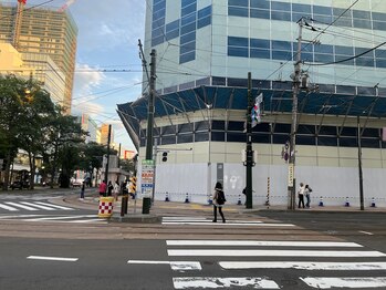 ギャレット(GALLET)/【道案内】4.　横断歩道を渡る