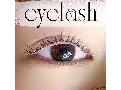 ハレとケの写真