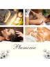 【Plumeria】組合せ自由　180分　￥20,000