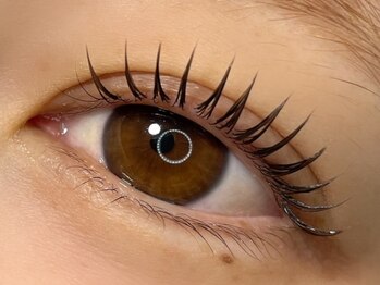 ソル ラッシュアンドブロウ(SOL lash&blow)/&Healthy