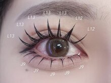 ビーナスベルト 池袋(VENUS BELT)/上下フラットラッシュ