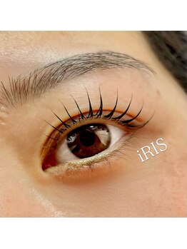iRIS【束感まつげパーマ/眉毛/アイブロウ/マツエク】/次世代まつげパーマ
