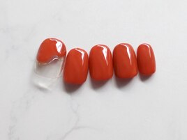 スタンダード定額