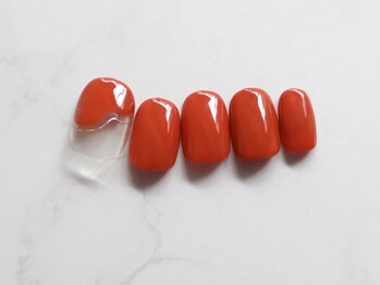 スタンダード定額