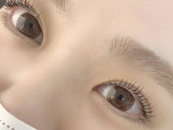 キャリコ(calico)/