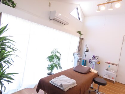 晴(ハレ)の写真