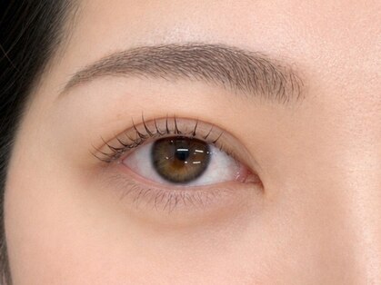 モコハ(mocoha)の写真