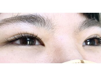 カラーズ(colors)/ダブルフラット60set