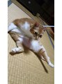 シェル ネイル(Cher nail)&nbsp;さくちゃんです☆セクシーな女の子です笑
