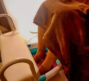 ファンタイム(fun time)