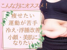 ヨサパーク リリー(YOSA PARK Lily)