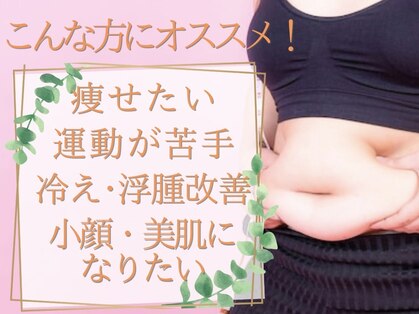 ヨサパーク リリー(YOSA PARK Lily)の写真
